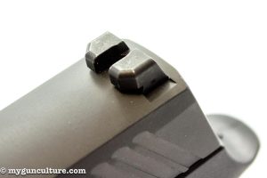 Both front and rear sights on the Sig Sauer P320 mount with dovetails, so they're easy to swap.